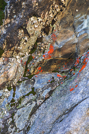 "Bear Lake", Colorado, "Estes Park", rock, Moss, RMNP, "Rocky Mountain National Park", 'aspen", fall, lake, "fall color", sunset