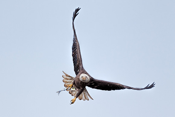 20131019 [C] Conowingo MD Dam 073-Edit