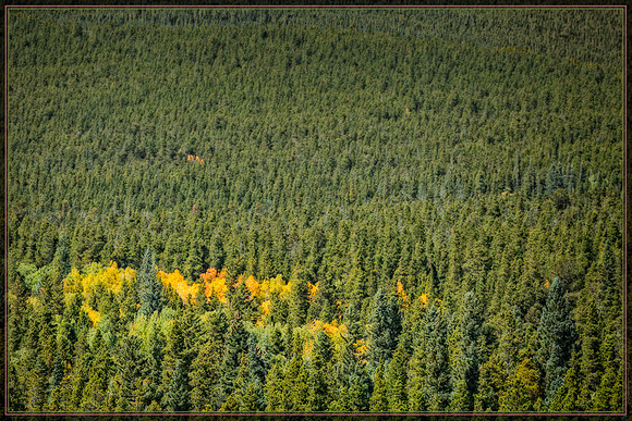 Colorado, fall, mountains, "Longs Peak", "Highway 7", aspen, "peak to peak", "peak-to-peak", "peak-to-peak highway", scenic