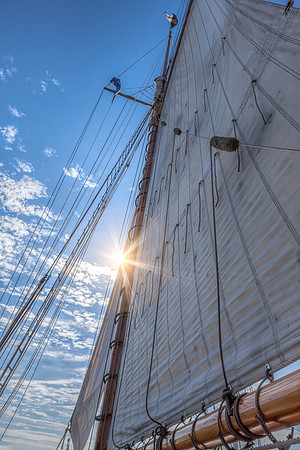 Chestertown, downrigging,Sultana,Virginia,"Pride of Baltimore","Chester River","Tall Ships", schooner