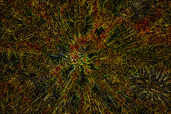 20131005 [C] Ellicott City MD - WWPhotowalk 034-Edit v'StringTheory'