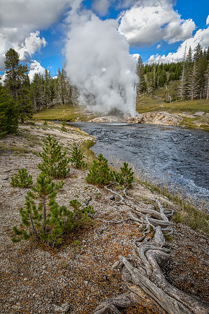 Yellowstone, "Upper Geyser Basin", geyser, pool, hot, bubbling