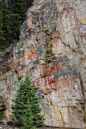 Colorado, mountain, lake, RMNP, "Rocky Mountain National Park", "Lake Granby", Grand Lake", "Trail Ridge Road", fall, aspen, trees, rugged, moose, "national park", Rockies, "Rocky Mountains", "Estes P