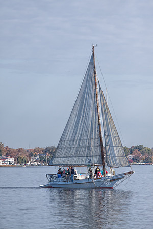 Chestertown, downrigging,Sultana,Virginia,"Pride of Baltimore","Chester River","Tall Ships", schooner