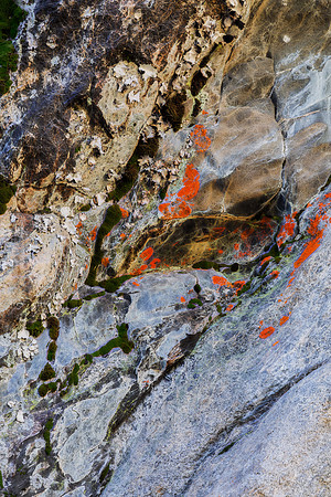 "Bear Lake", Colorado, "Estes Park", rock, Moss, RMNP, "Rocky Mountain National Park", 'aspen", fall, lake, "fall color", sunset