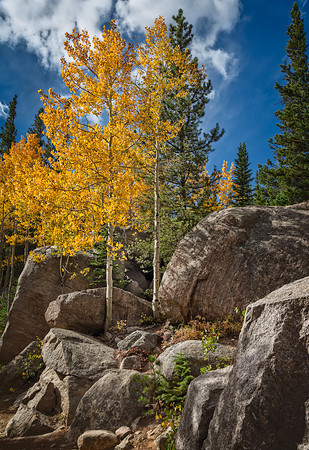 Colorado, "Rocky Mountain National Park", "Bear Lake", Alberta Falls", waterfall, RMNP, water, "Estes Park" fall, autumn, aspen"long exposure"