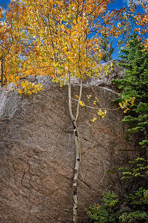Colorado, "Rocky Mountain National Park", "Bear Lake", Alberta Falls", waterfall, RMNP, water, "Estes Park" fall, autumn, aspen"long exposure"