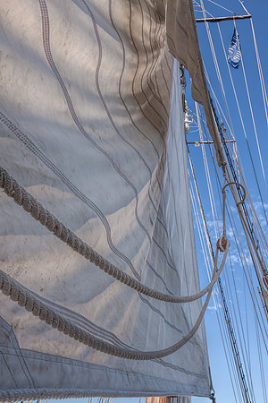 Chestertown, downrigging,Sultana,Virginia,"Pride of Baltimore","Chester River","Tall Ships", schooner