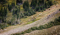 Colorado, "Estes Park", "Rocky Mountain National Park", landscape, patterns, rockies
