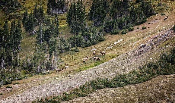 Colorado, "Estes Park", "Rocky Mountain National Park", landscape, patterns, rockies