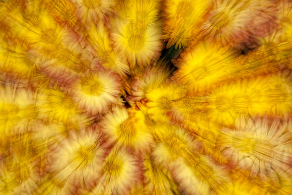 20131005 [C] Ellicott City MD - WWPhotowalk 034-Edit[TopDet(CloudDetII)]