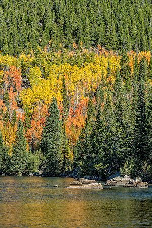 "Bear Lake", Colorado, "Estes Park", rock, Moss, RMNP, "Rocky Mountain National Park", 'aspen", fall, lake, "fall color", sunset