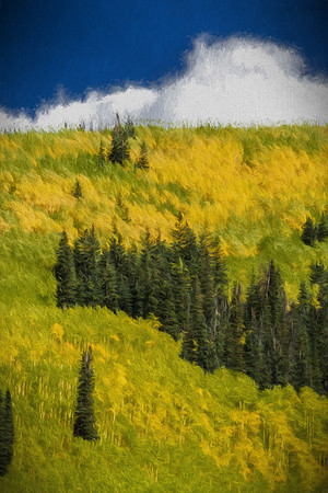 Colorado, Aspen, "West Elk Mountains", mountains, fall, "fall color", trees, stream