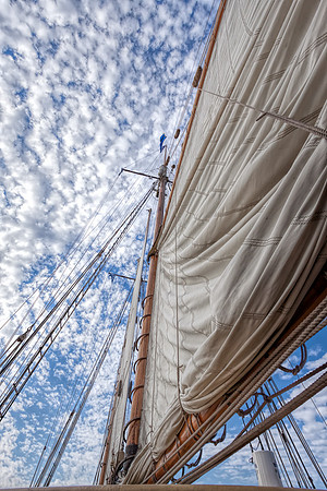 Chestertown, downrigging,Sultana,Virginia,"Pride of Baltimore","Chester River","Tall Ships", schooner