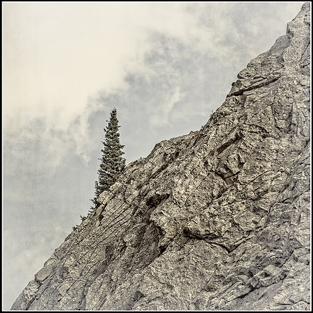 Colorado, fall, mountains, "Longs Peak", "Highway 7", aspen, "peak to peak", "peak-to-peak", "peak-to-peak highway", scenic