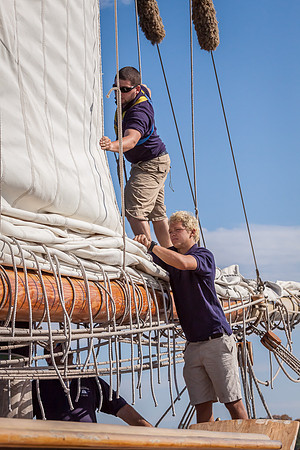Chestertown, downrigging,Sultana,Virginia,"Pride of Baltimore","Chester River","Tall Ships", schooner
