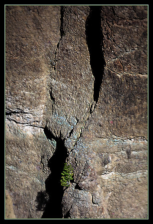 Falls, "Grand Canyon", Canyon, "artist Point", Yellowstone, "Yellowstone Falls", waterfall