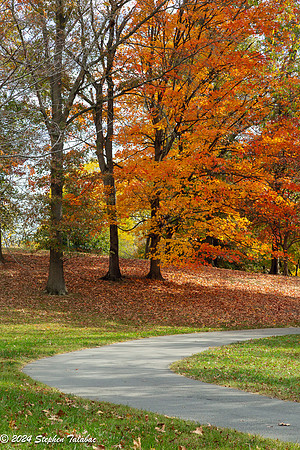 HoCo Parks Fall-23