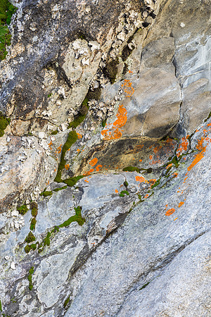 "Bear Lake", Colorado, "Estes Park", rock, Moss, RMNP, "Rocky Mountain National Park", 'aspen", fall, lake, "fall color", sunset