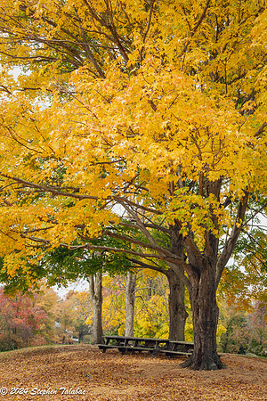 HoCo Parks Fall-21