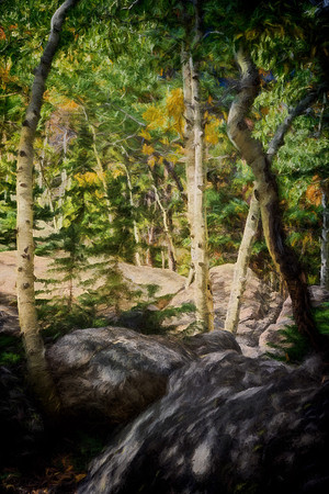 Colorado, "Rocky Mountain National Park", "Bear Lake", Alberta Falls", waterfall, RMNP, water, "Estes Park" fall, autumn, aspen"long exposure"