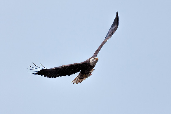 20131019 [C] Conowingo MD Dam 087-Edit