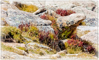 Colorado, "Rocky Mountain National Park", "Estes Park", rockies, landscape, patterns